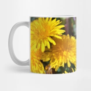 Spring Dandelions - Variation in Lighting - Early Spring Blooms Mug